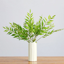 �ָз���Gֲާ�ֲ��С����ާ�ݼٻ��Gɫ���^����ɭϵ�쾰�b�