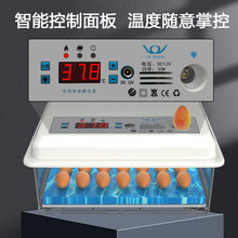 孵化器 小型 家用半自动智能孵蛋器小鸡芦丁鸡孵化器孵化机孵化箱