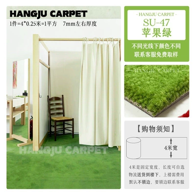 Colorful Solid-Color Carpet for Photography, Car Carpet - su-47-apple-green