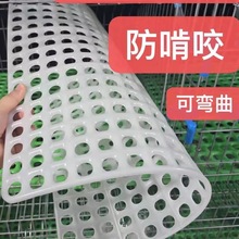 漏粪板垫板兔笼鸽貉貂鸡鸭鸟笼塑料脚垫鸽子用具兔子托盘接粪盘