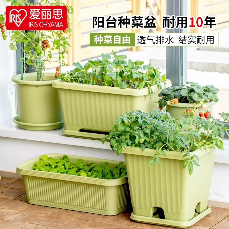 Алисы IRIS фруктовые и овощные горшки садовые большие цветочные горшки балконы овощные горшки