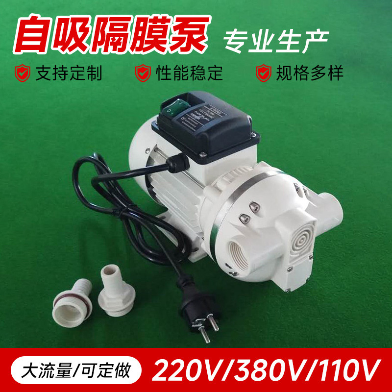 定制小流量化工泵耐腐蚀便携柴油机电动隔膜泵车用尿素溶液加注水