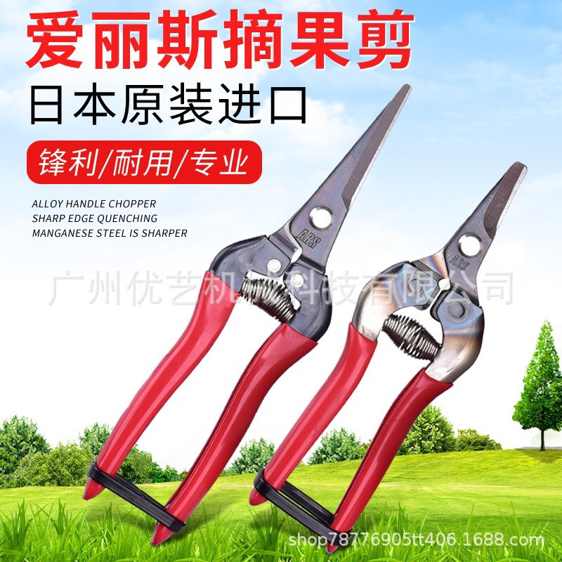 爱丽斯ARS 300/310 摘果剪原装进口摘果剪翘头剪长直头剪园艺果剪