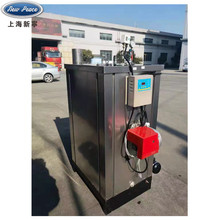 上海厂家 蒸汽量100KG燃气加热蒸汽锅炉