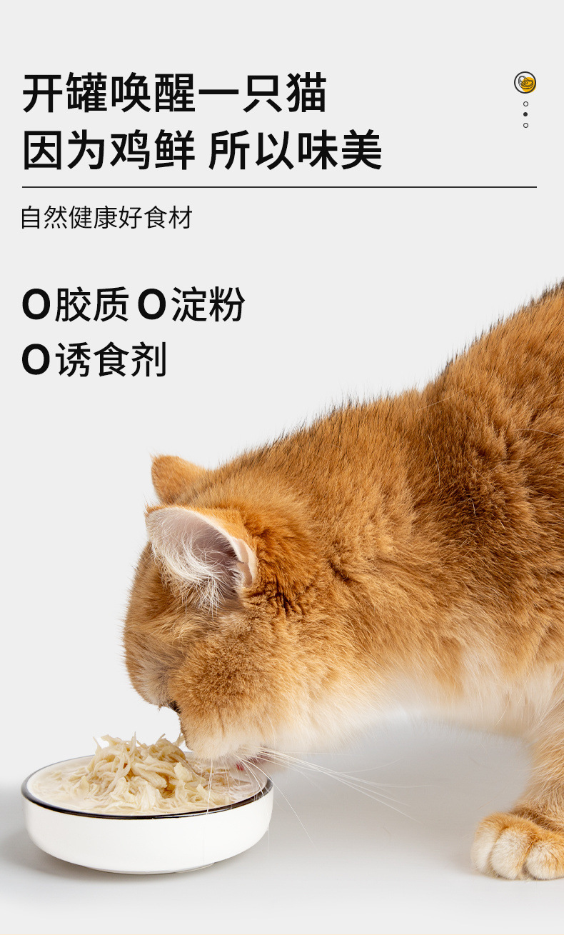 0840700e-5438-4610-a460-22ab286e3ce6.jpe