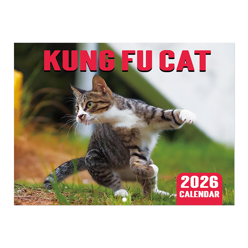 新品跨境多风格日历搞怪系列个性2026年挂历线圈12个月日程规划本|undefined