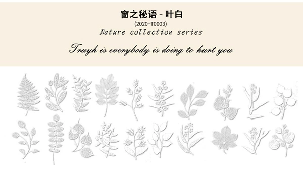 The secret of the window-Ye Bai