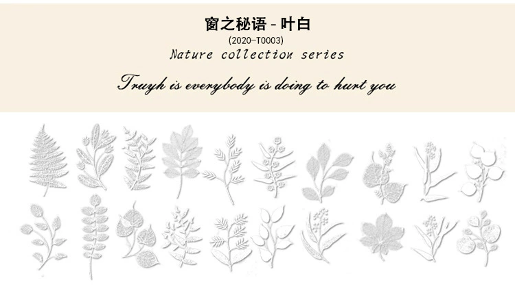 Natural photo collection window series PET handbook post paper bag creative plant DIY decorative post 12 models