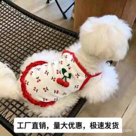 猫咪衣服防掉毛背心美短宠物金渐层小猫狗狗可爱世界杯宠物服饰