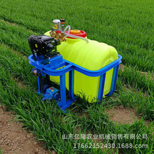 �@�ֲݵ�������ș�C �{ݮ�@���ؚ��x��ș�C ����ˮ����ș�C