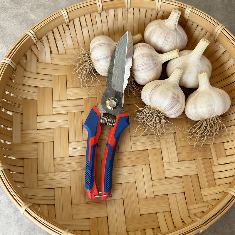 图片背景添加 (1).png