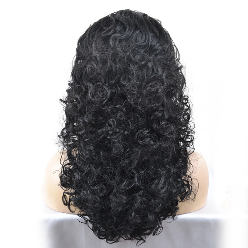 Women's Elegant Sexy Casual Party Stage High Temperature Wire Long Curly Hair Wig Net display picture 5