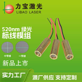 520nm绿光一字线激光器十字线激光模组激光标线模组镭射灯定位灯