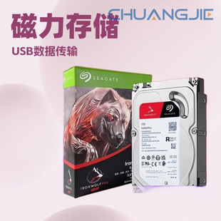 Nas Coolwolf Pro New Nt Series Cmr Vertical Magnetic Recording Mechanical Hard Drive 20Tb [St20000Nt001]