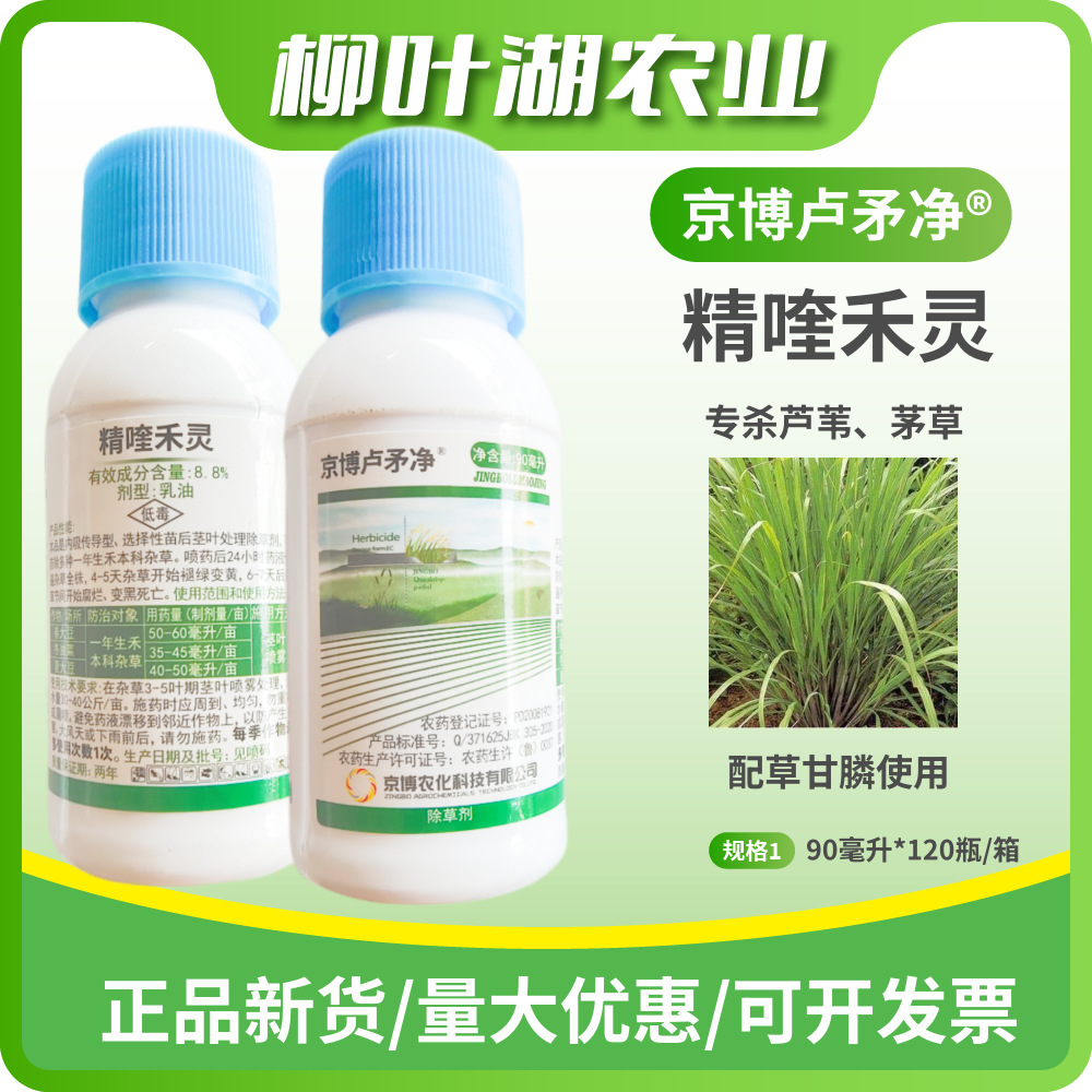 京博芦茅净 茅草芦苇专用烂根除草剂正品农药批发