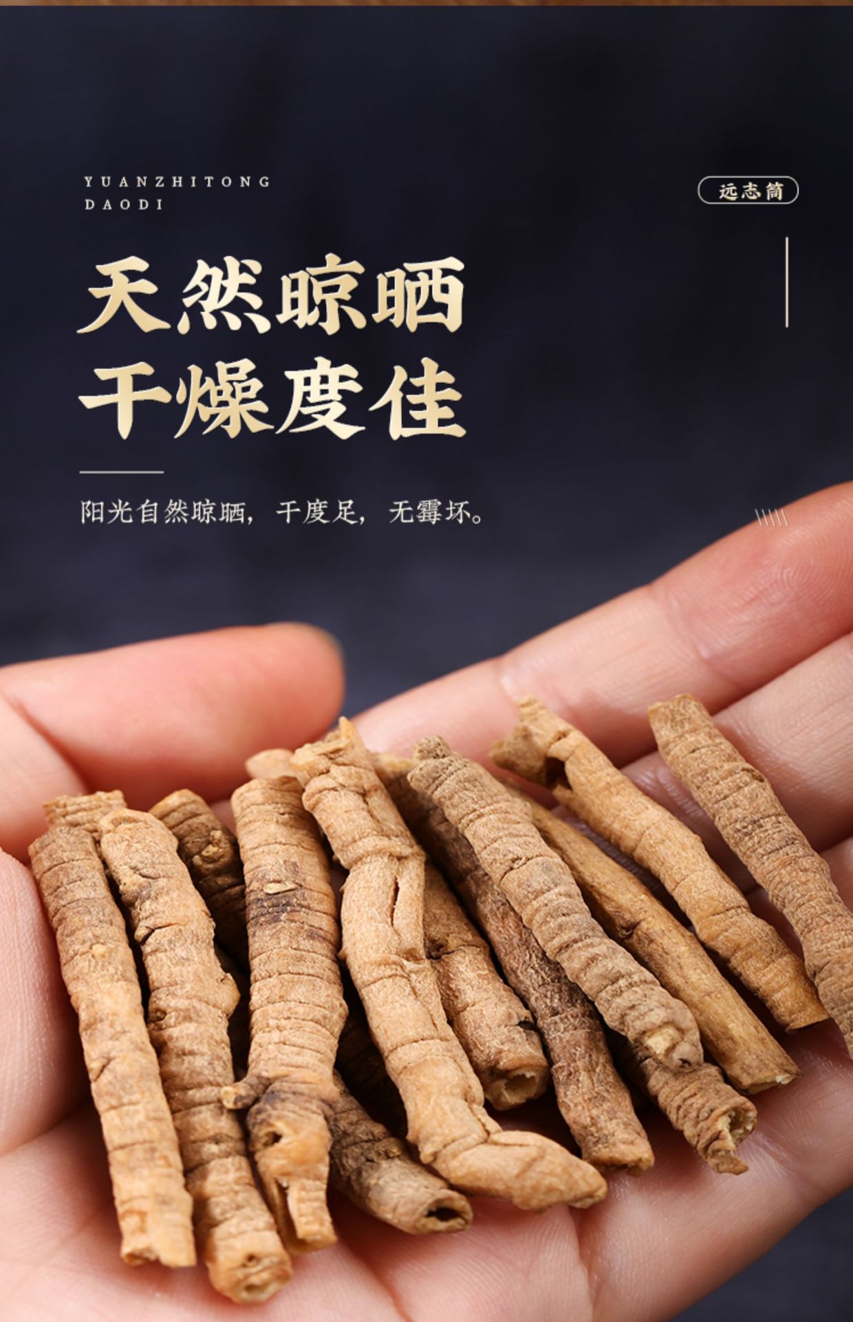 Core-Removed Polygala Root Yuan Zhi 500g Dried Chinese Herb for Traditional Decoctions in use