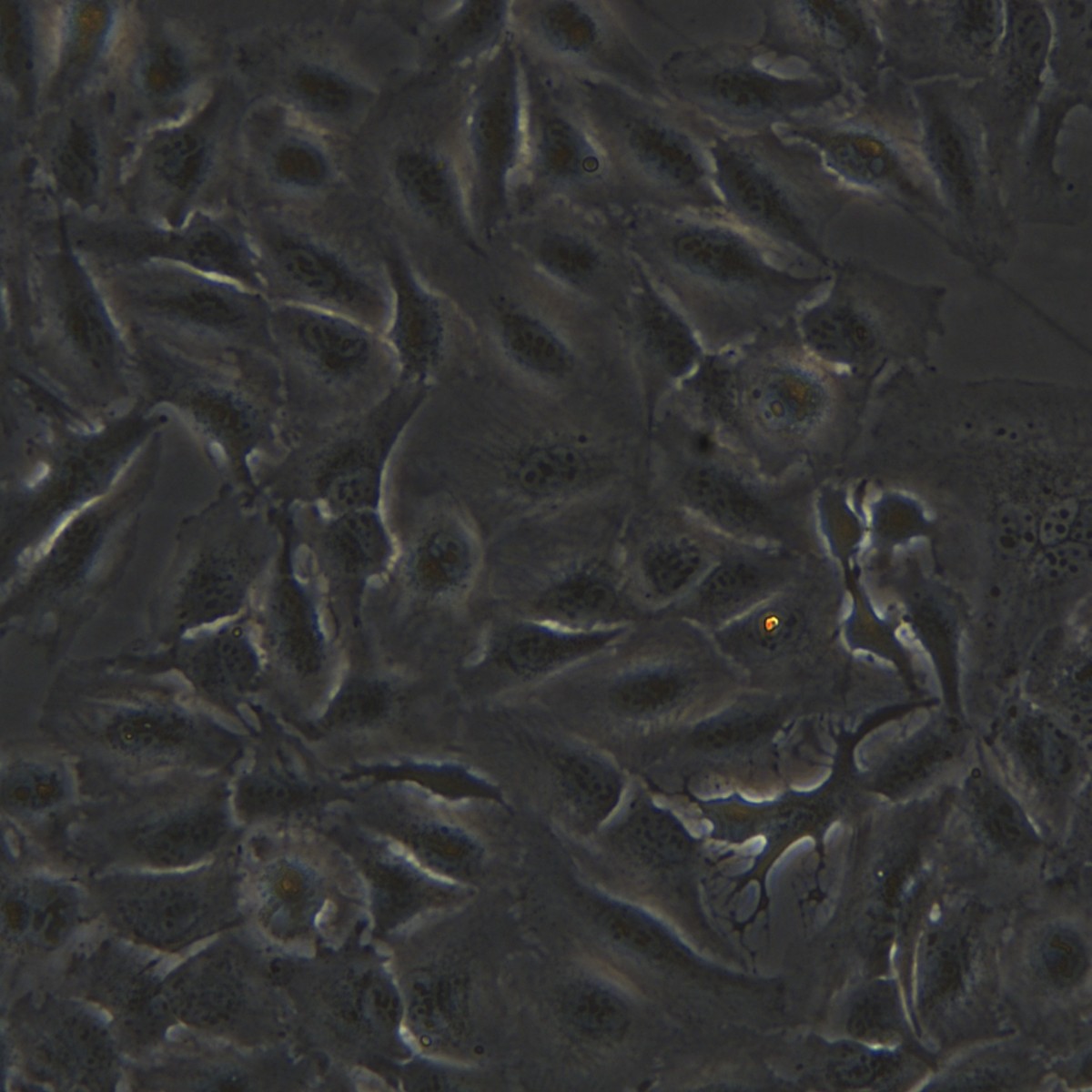 2025-11-05 15:26:05.jpg