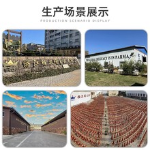 SֱƶAȶYXOuȶYbYƷl