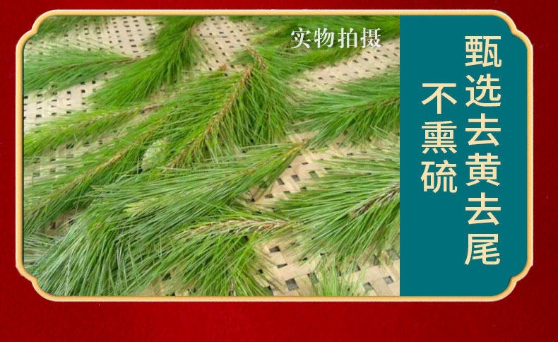 Dried Pine Needles Song Zhen 松针 500g Natural Sun Dried Masson Pine Needle Tea Leaves in use