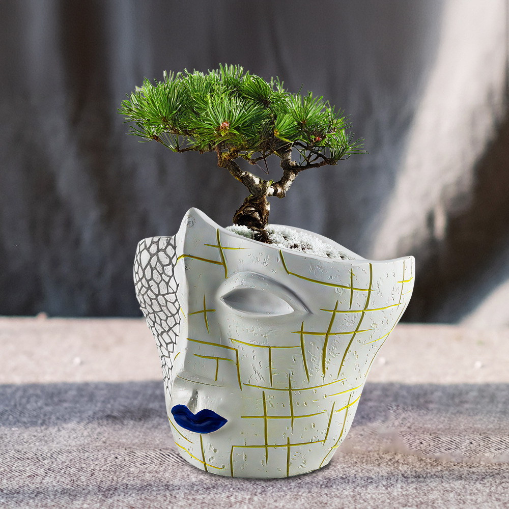  New Creative Face Crack Abstract Flower Pot Resin Craft Plant Potted Container Home Gardening Ornaments