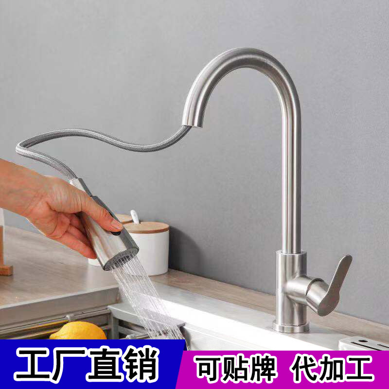 Pull-Out Faucet Kitchen Hot and Cold Stainless Steel Sink Sink Double Outlet Telescopic Rotatable Faucet Wholesale