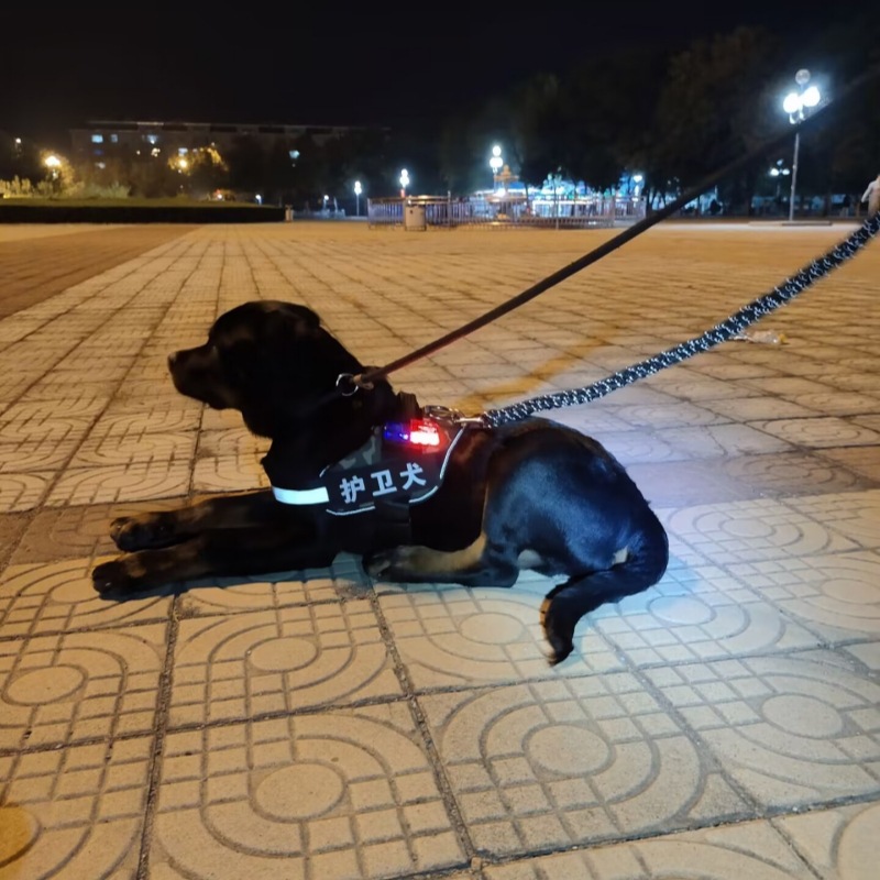 一键上货_20250422151554