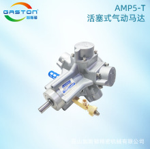 �S��ֱ�N����ʽ����R�_ AMP5-T ��������R�_ ���I����R�_