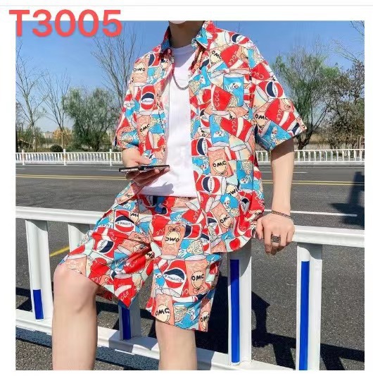 T3005
