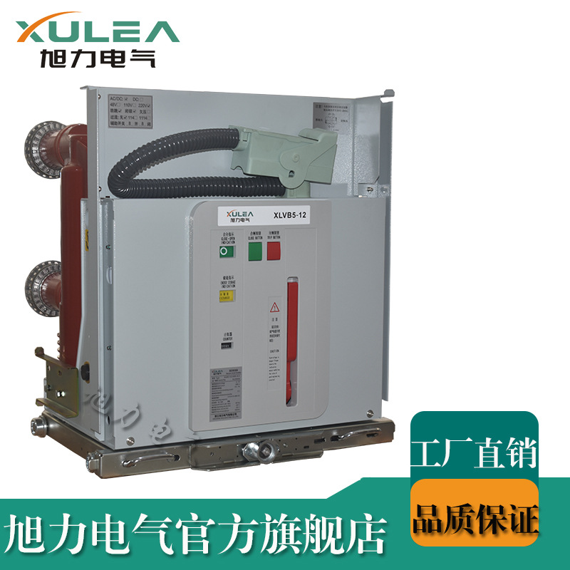 10KV户内真空断路器代替VBG VL VYG VN3 CV2 RMV1 3AS4 BYE-12