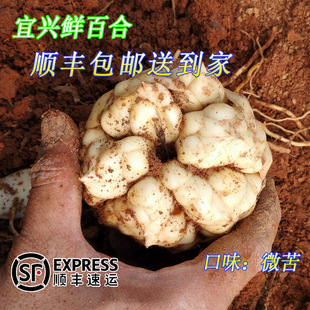 20�F�����d���r�ٺ���S���]�aʳ��5��3��2�ɕ��΢��ٺ�