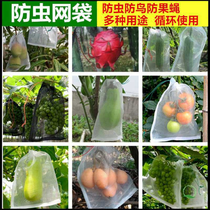 水果袋防鸟果蝇葡萄套袋火龙果保护套袋黑色尼龙网袋浸种子袋