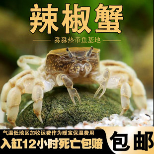 ����зˮ�ݸ����Bƿˮꑌ����ꑾ��^�p��ˮз΢���^����w�Ȍ�