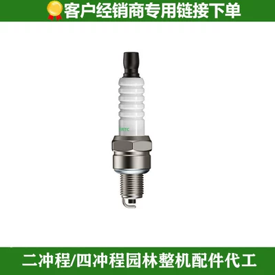 Assembly, Cylinder Piston, Backpack Leaf — Gasoline Engine Oil - 151-four-stroke-spark-plug