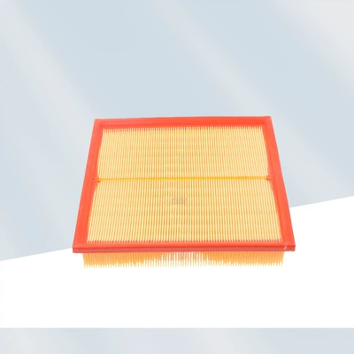 Factory wholesale applicable 19 Air filter
