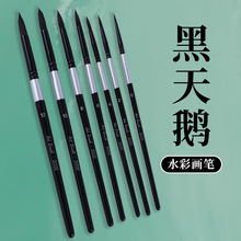 跨境黑天鹅毛笔水彩套装勾线水粉笔油画笔尼龙画笔工具
