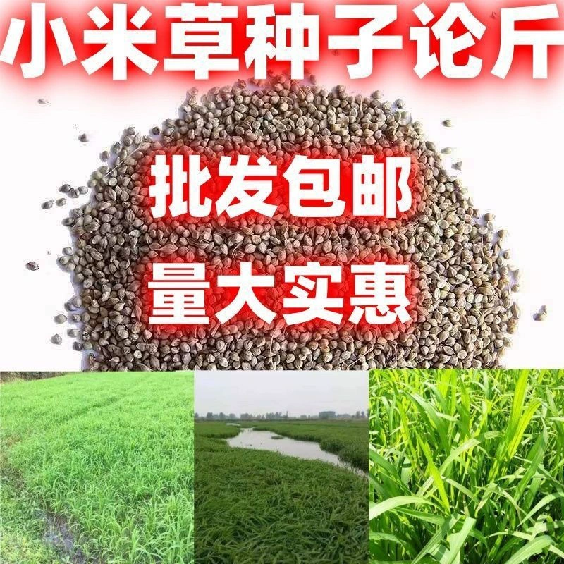 Семена Xiaomi травы Семена Xiaomi травы Семена корма Семена рыбы, креветок, крабов Семена травы Семена риса