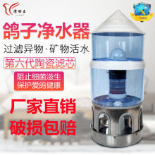 鸽子自动饮水器鸽用座水壶专用信鸽喂水器用品用具喝水大全器大号