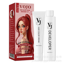 ����������˫֧װȾ����100ml*2 ��ɫʱ�п�ѡ�ް�ֲ���䷽Ⱦ����