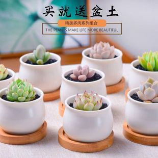 ֲСbMϺBȩɐֲ҃莧