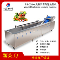 TS-X400-气泡洗菜机-主图(01).jpg