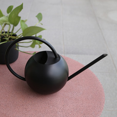 400ml/ Stainless Steel Flowering Watering Can, Small Round-Shape Multi-Succulent Sprayer with Long Metal Spout, Black