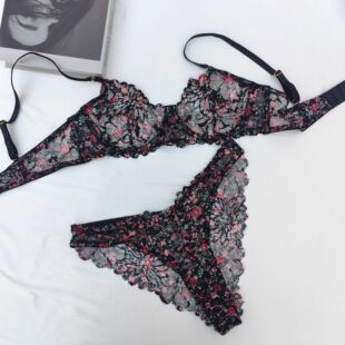 �Ըг��������b�����@С�۔n��ʽ�ٽz���±��y����Bra