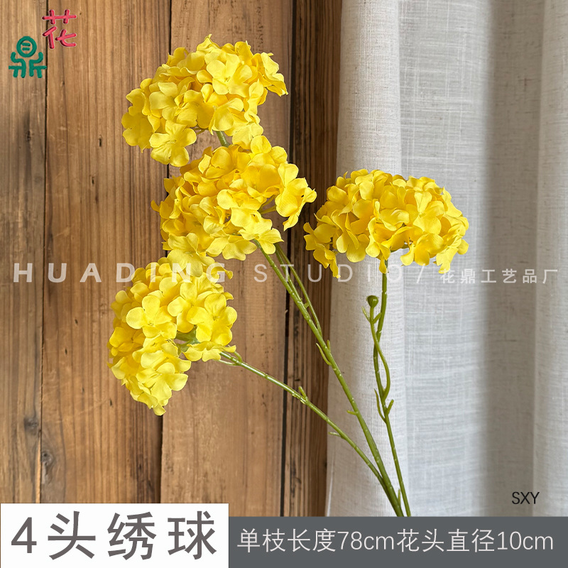 Cẩm Tú Cầu 4 Đầu SXY Vàng