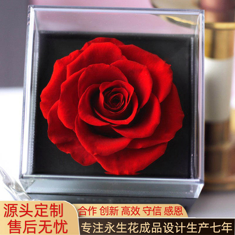 Collar de flor eterna Caja de joyería Producto terminado Regalo transfronterizo del día de San Valentín Flor seca de rosa Regalo del día de la madre al por mayor