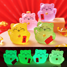 ҹ���в�è��֬С�ڼ� ͸����è΢�����쾰��� ���泵��װ�ι���