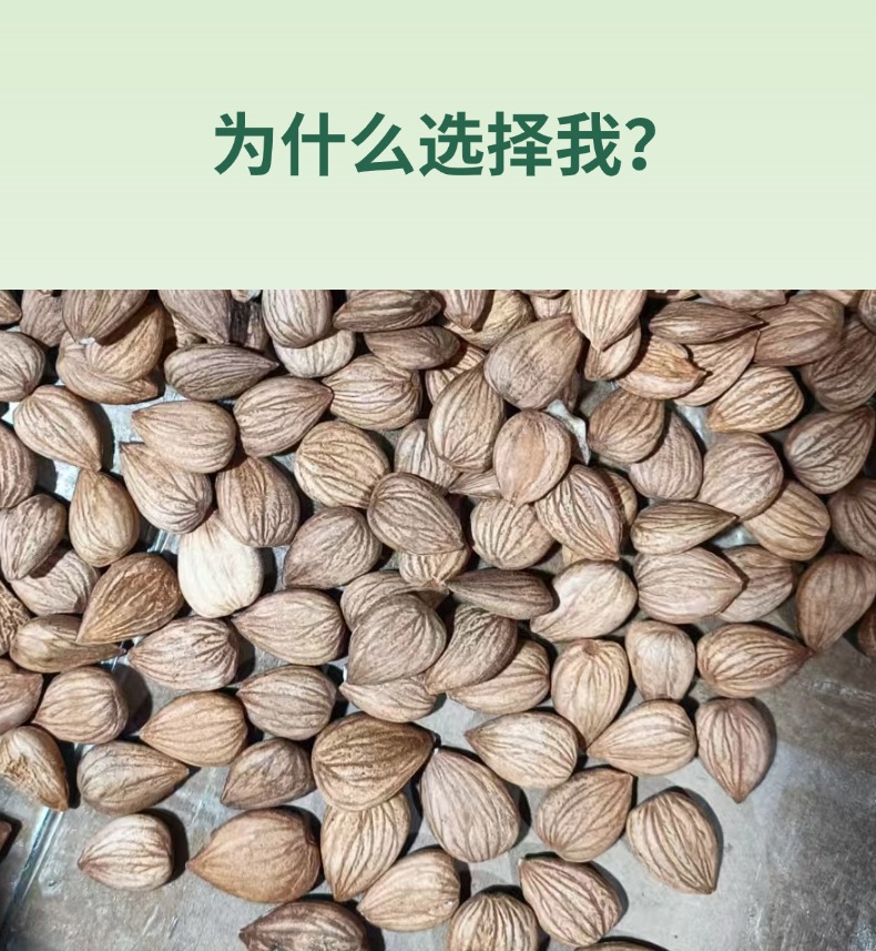 Sweet Almond Raw Shelled Almonds Tian Xing Ren 500g Grade A Natural Nut Snack key features