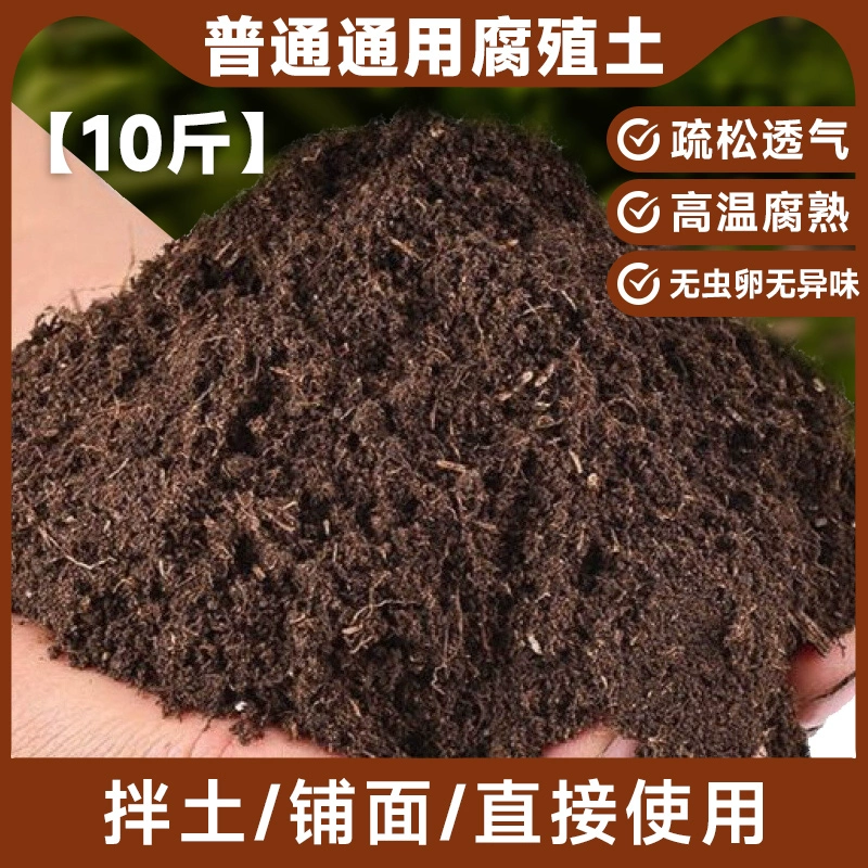 (푹신한) 영양가있는 부식질 토양 10 진