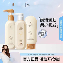 孕妇洗护套装孕妇洗发水沐浴露护发素天然孕期护肤品批发柔顺