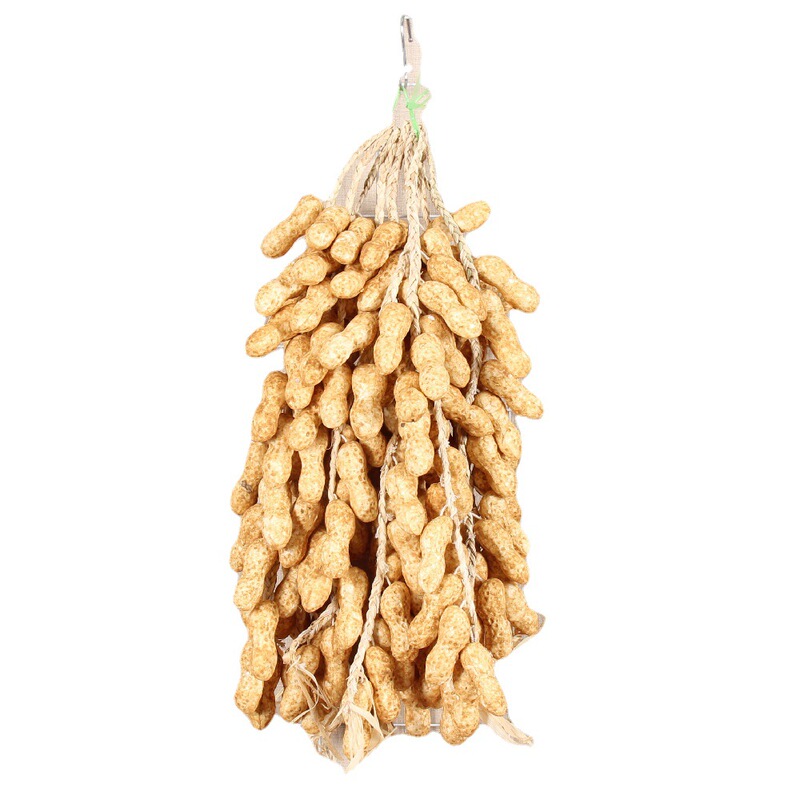 シミュレーション野菜串卸売りシミュレーション落花生掛串12頭/農家楽装飾品/撮影道具果物模型|undefined