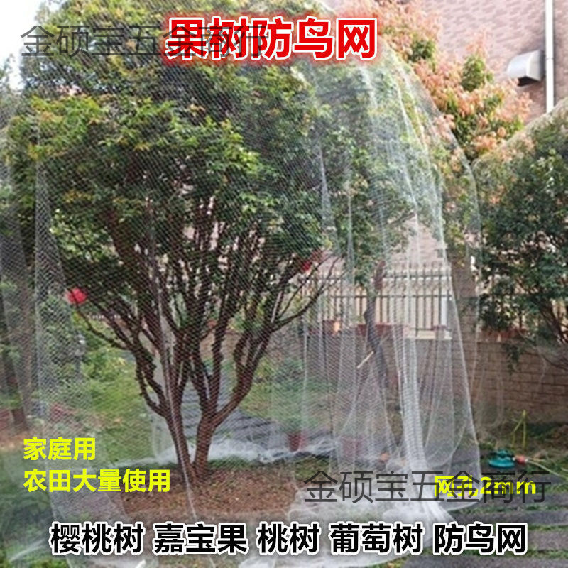 果树专用防鸟网樱桃树葡萄蔬菜防护罩尼龙网网罩果子防鸟网子批发